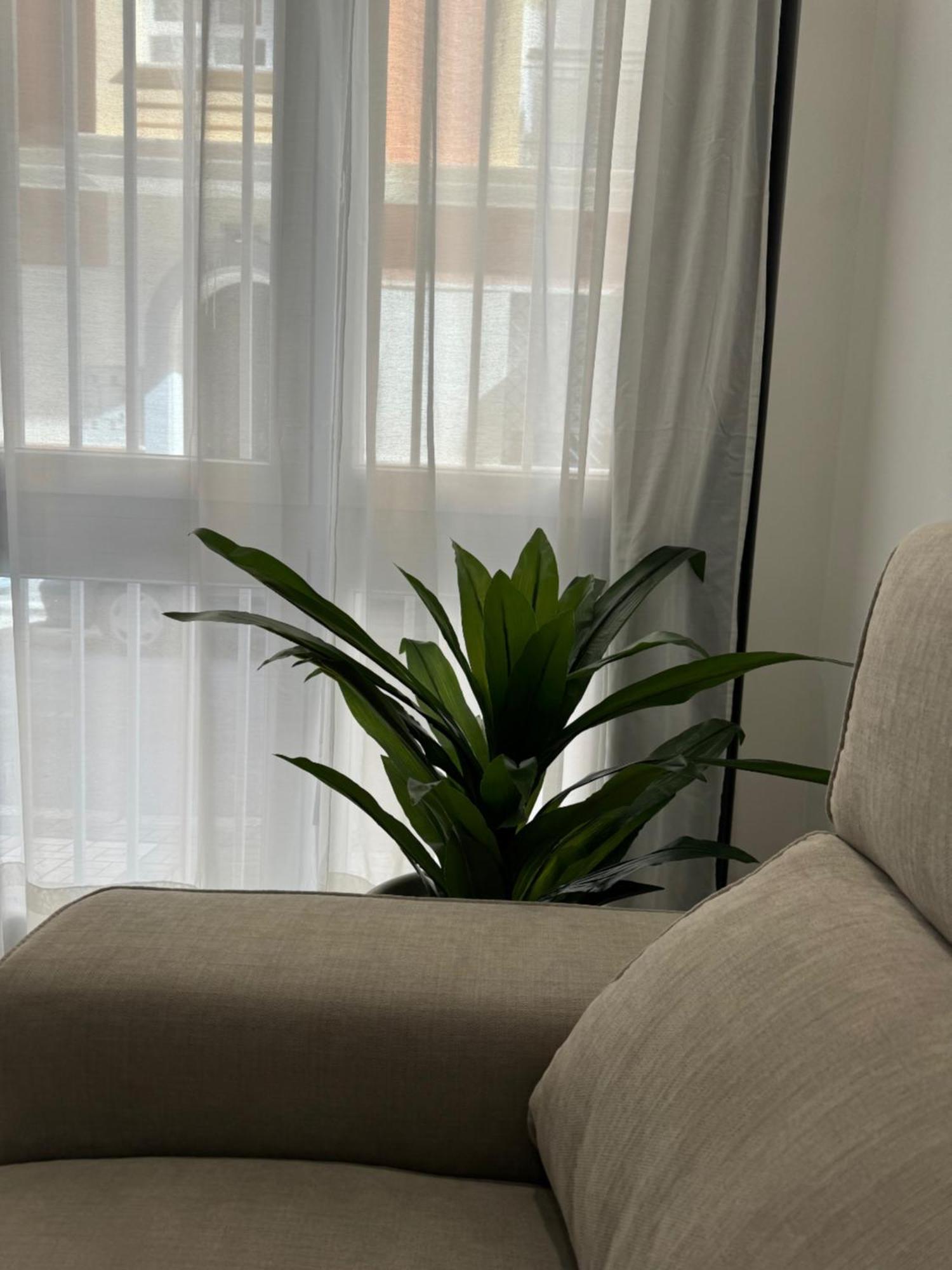 Alderete Suites Málaga Exteriör bild